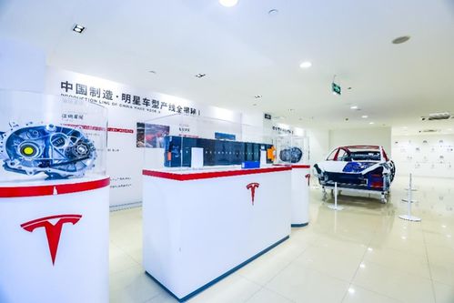 管中窺豹 上海超級工廠主題展登陸山城，揭秘特斯拉硬核科技與重慶心理咨詢跨界融合